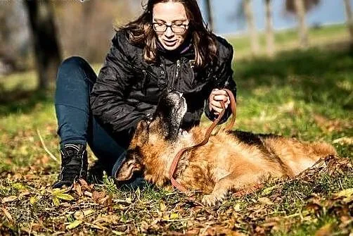 Owczarek Bartek poleca się do adopcji!,  lubelskie