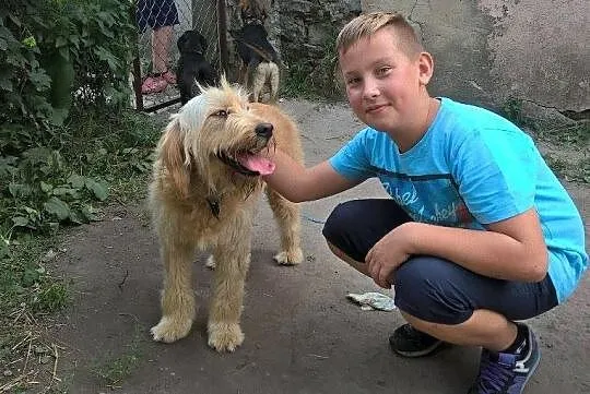 Wesoła Roszpunka, bezkonfliktowa, ZŁOTA PIĘKNOŚĆ do pokochania