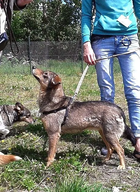 Miry nie da się nie kochać :)