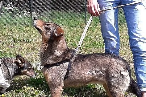 Miry nie da się nie kochać :)