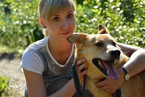 OLAF - czy w końcu doczeka się domu?,  pomorskie G