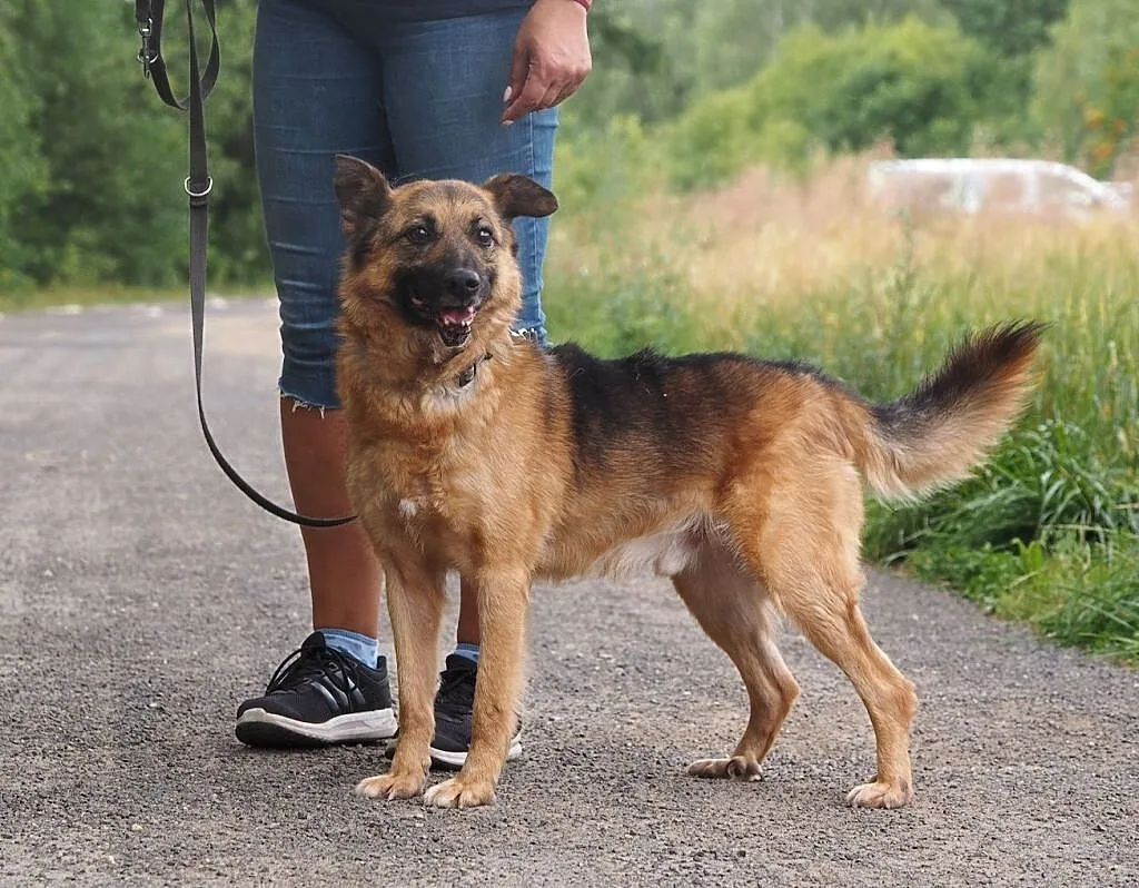 Ziutek-tyle lat czeka, aby ktoś go pokochał!, , Kłomnice
