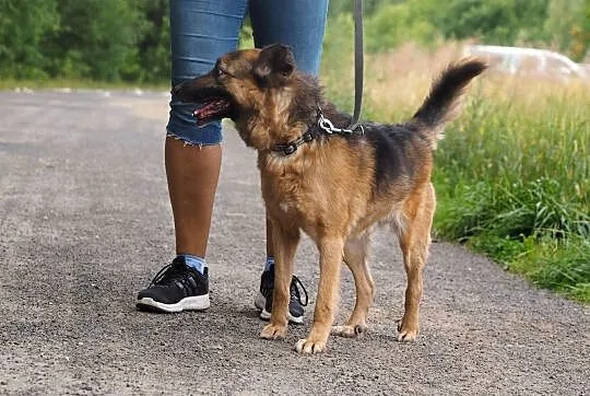 Ziutek-tyle lat czeka, aby ktoś go pokochał!, , Kłomnice