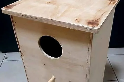 budka lęgowa papuga, Śląskie, Rybnik