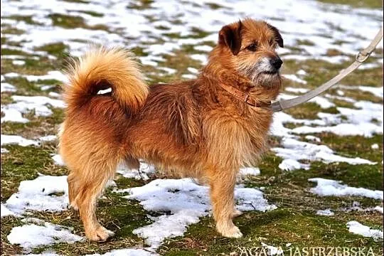 Weźmiesz Jędrusia do domu?