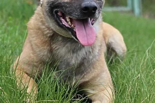 Mario.Przyjaźń jest wszystkim!,  kujawsko-pomorski