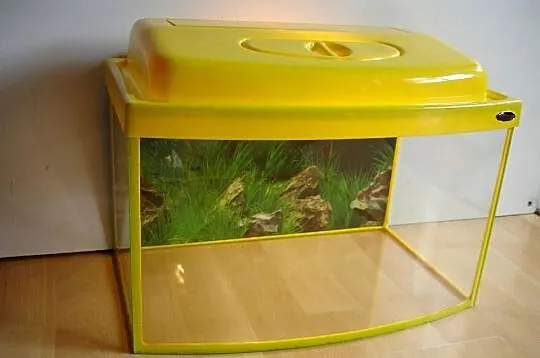 Akwarium profilowane 25L z pokrywą, Lubuskie, Zielona Góra