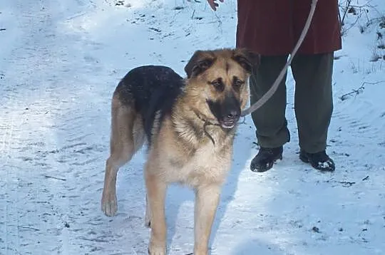Elza czyli idealny kompan na spacery, przyjacielsk