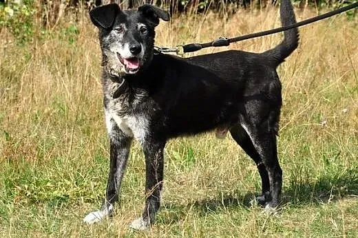 Remus - oaza spokoju :),  warmińsko-mazurskie Olsztyn