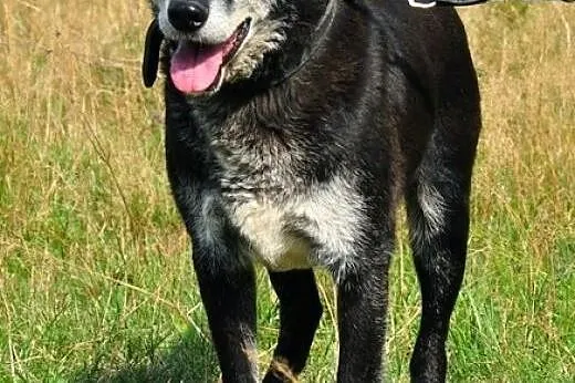 Remus - oaza spokoju :),  warmińsko-mazurskie Olsz