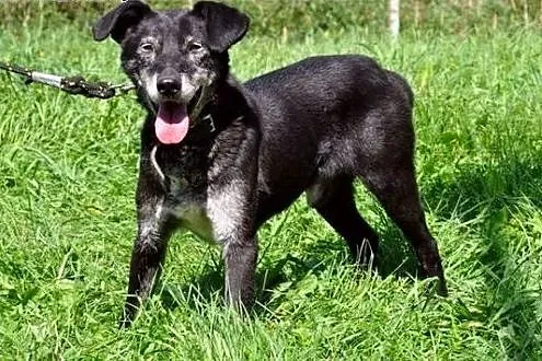 Remus - oaza spokoju :),  warmińsko-mazurskie Olsz