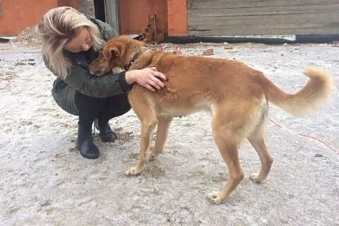 Kubuś kochany, spokojny, bardzo łagodny psiak PILN