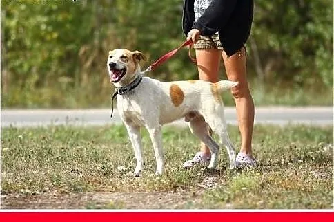 19 kg,do dzieci,rodzinny,uśmiechnięty 2 letni FLOR