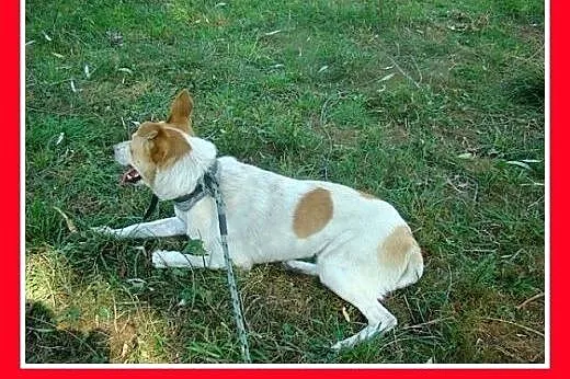 19 kg,do dzieci,rodzinny,uśmiechnięty 2 letni FLOR