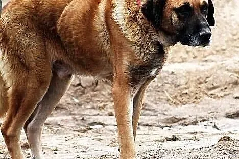 SEZAM - chyba jest już po mnie...