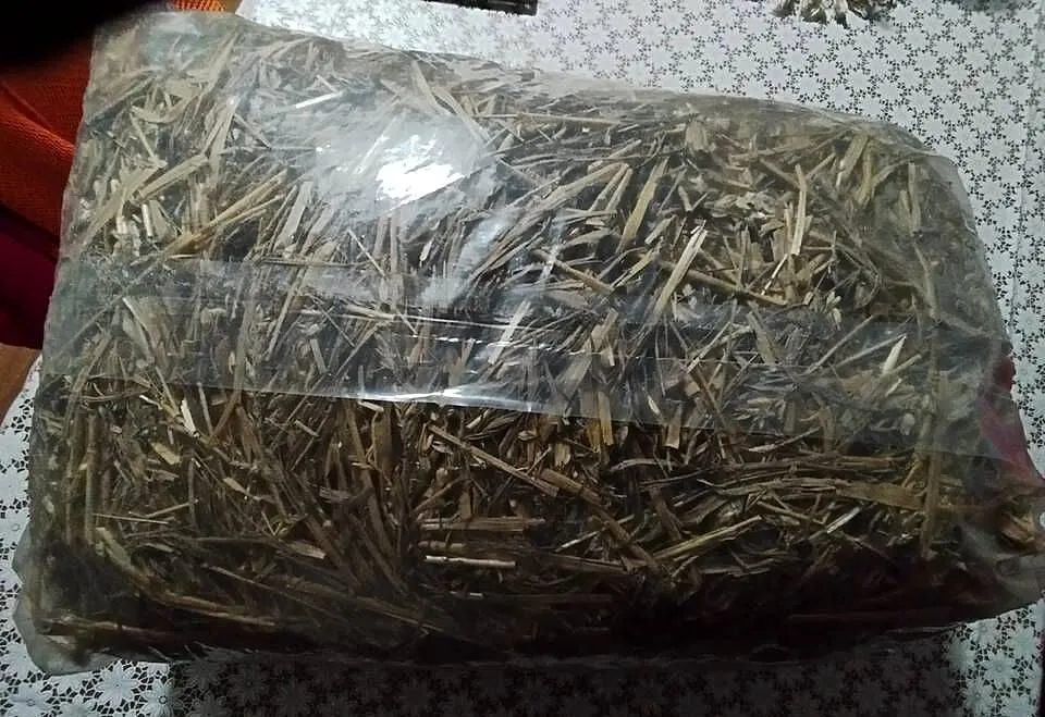 Słoma dla królika, Kujawsko-pomorskie, Kcynia