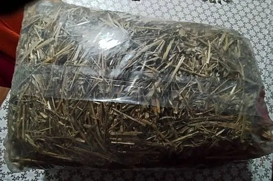 Słoma dla królika, Kujawsko-pomorskie, Kcynia