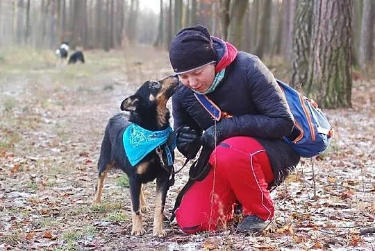 Drobniutki Gonzales, psiaczek do rany przyłóż!,  Kundelki cała Polska, 