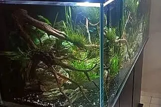 Akwarium 120x50x50 - zestaw opti