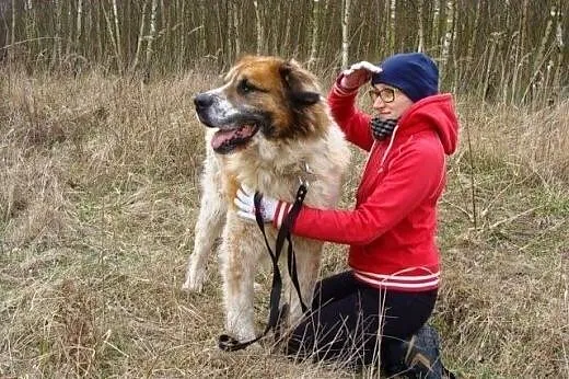 Przyjaźnie nastawiony Benio wciąż czeka na dobry d
