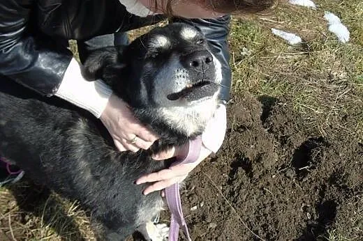 Balbina i jej tęsknota za człowiekiem...,  dolnośl
