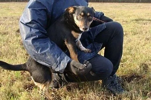Gacusia bito, kopano, zadawano ból. On nas kocha i