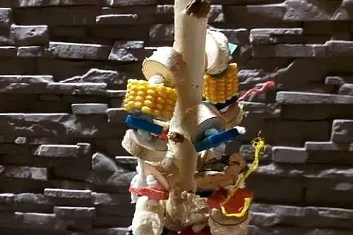 zabawka/gryzak dla papug