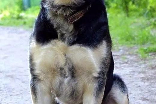 Bako - prawdziwy klejnot :),  warmińsko-mazurskie 