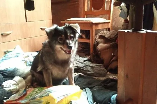 Pilne!Sunie z dnia na dzień straciły wszystko! Zau