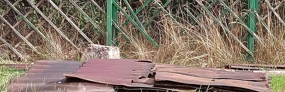 Ondulina na daszki budki dla ptaków, kotów., Kujawsko-pomorskie, Warlubie