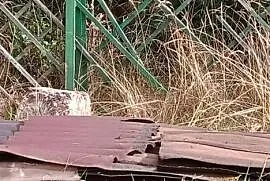 Ondulina na daszki budki dla ptaków, kotów.
