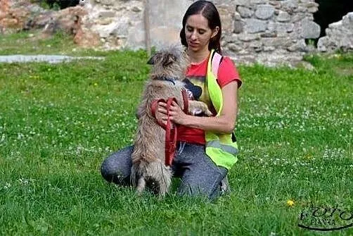 Cudak mały psiak szuka mądrego domku!!! PIlne,  do