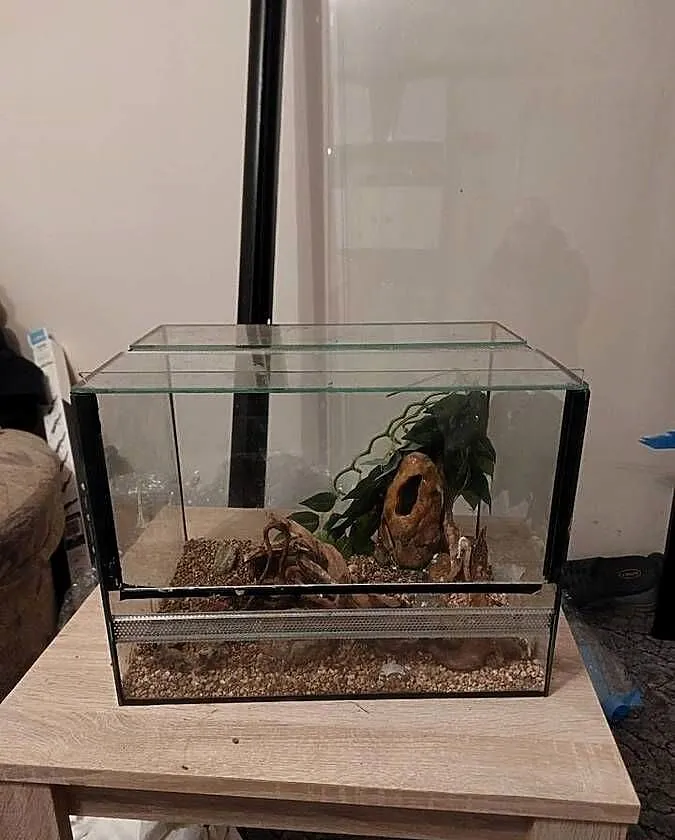 Terrarium z wyposażeniem, Dolnośląskie, Wałbrzych