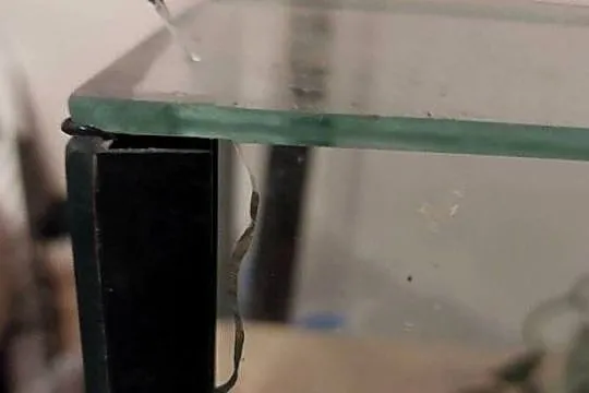 Terrarium z wyposażeniem, Dolnośląskie, Wałbrzych