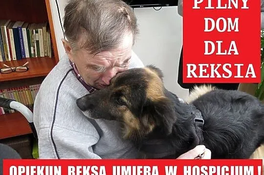 Cała Polska szuka domu dla Reksa! Pełna mobilizacj