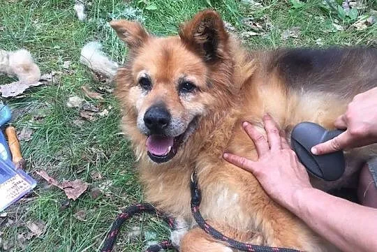 Staruszek Rudolf, za kratami 7 lat, Mazowieckie, Warszawa