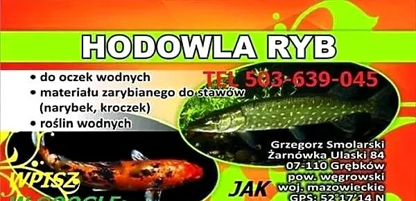 Ryby narybek rośliny pokarmy, Mazowieckie, Grębków