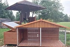 kojec buda budo kojec dla psa i psów