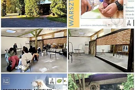 Szkolenie GŁÓWKOWE dla GROOMERÓW pod W-wą!, Mazowieckie, Duży Dół