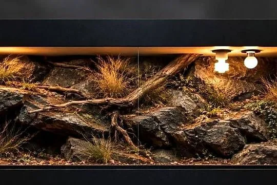 Terrarium od Egzo Systems dla agamy brodatej żółwia greckiego