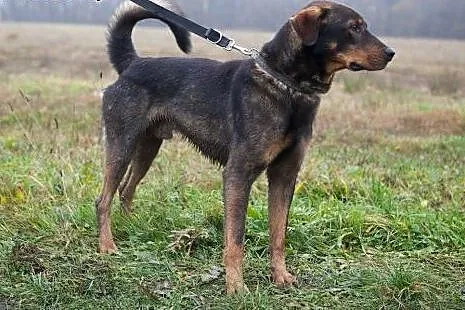 Kto podaruje mi dom, jakiego nigdy nie miałem? ,  