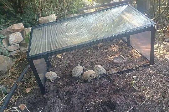 Sprzedam terrarium