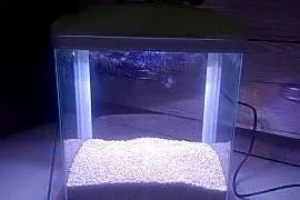 Sprzedam nano akwarium 7l, żwirek biały,LED, pompka, karton komplet.