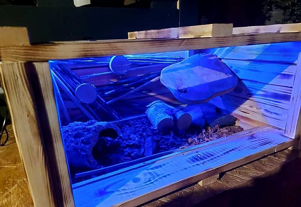 Piękne terrarium dla kameleon żółwia, jeża,agamy lub gekona, Opolskie, Opole