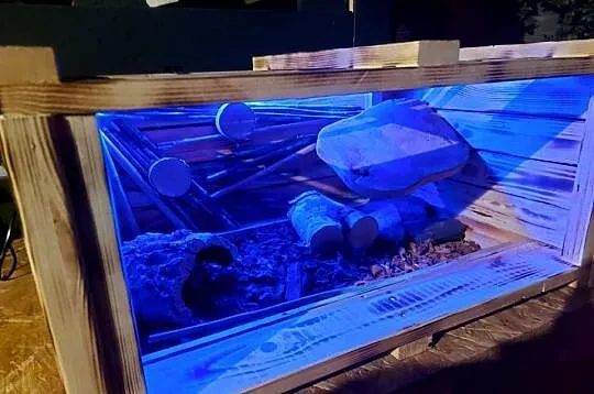 Piękne terrarium dla kameleon żółwia, jeża,agamy lub gekona, Opolskie, Opole