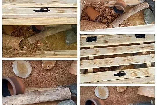 Piękne terrarium dla kameleon żółwia, jeża,agamy lub gekona, Opolskie, Opole