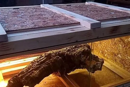 Piękne terrarium dla kameleon żółwia, jeża,agamy lub gekona, Opolskie, Opole