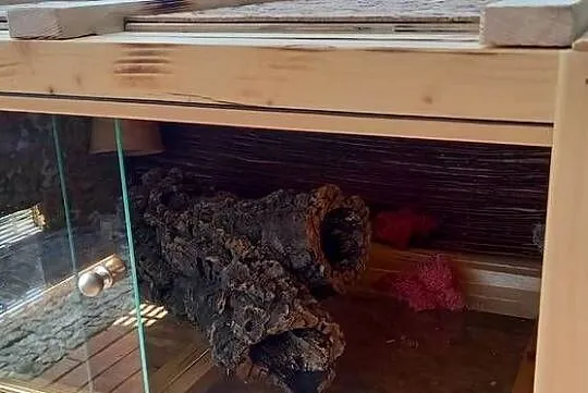 Piękne terrarium dla kameleon żółwia, jeża,agamy lub gekona, Opolskie, Opole