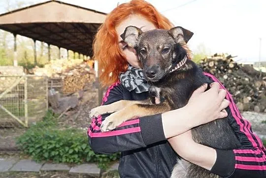 Tina, nieduża suczka szuka wspaniałego domu!