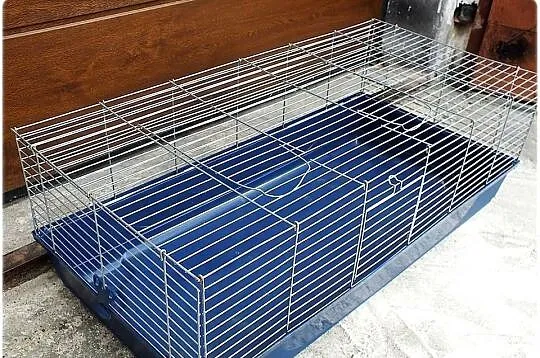 Duża klatka Maxi XXL Idealna dla królika, świnki morskiej, Lubuskie, Lubsko